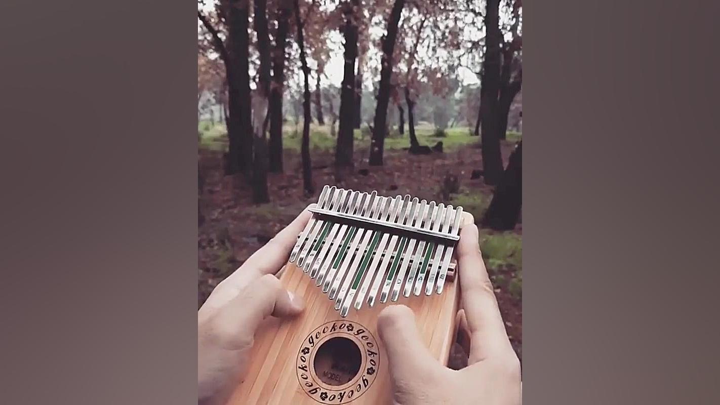 موسیفی ارامش بخش۲