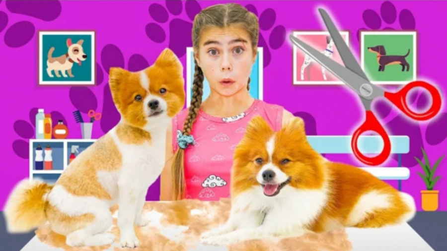 استیسی موهای توله سگ خود را اص...