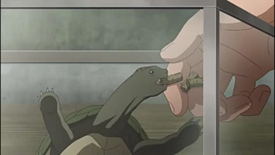 بوروتو قسمت ۱۹۳ با زیر نویس فا...