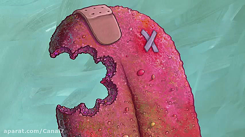 باب اسفنجی جدید  کارتون باب اس...