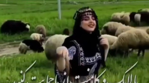 فلک از کودکی غم را به من داد |...
