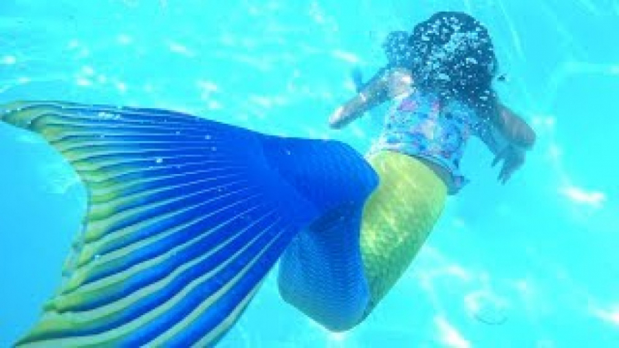 نمایش پری دریایی و کوسه