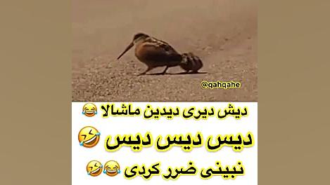 دیش دیری دیدین ماشالا