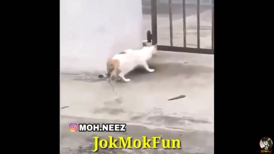 خنده داره ترین راز بقا ی تاریخ...