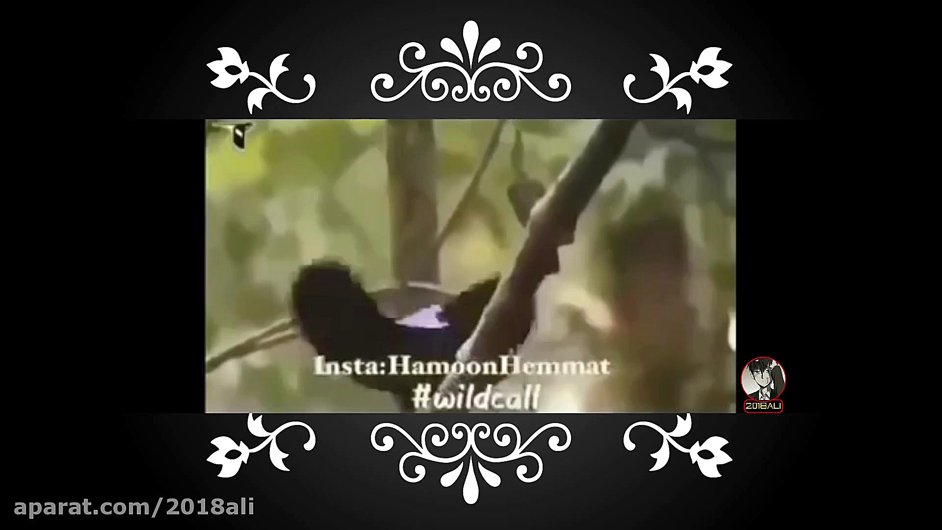 خنده داره ترین راز بقا ی تاریخ...