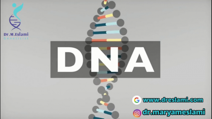 دی ان ای (DNA) چیست؟ - انیمیشن