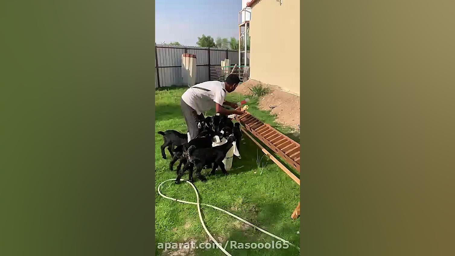 کلیپ فوق انگیزشی و پر از انرژی...