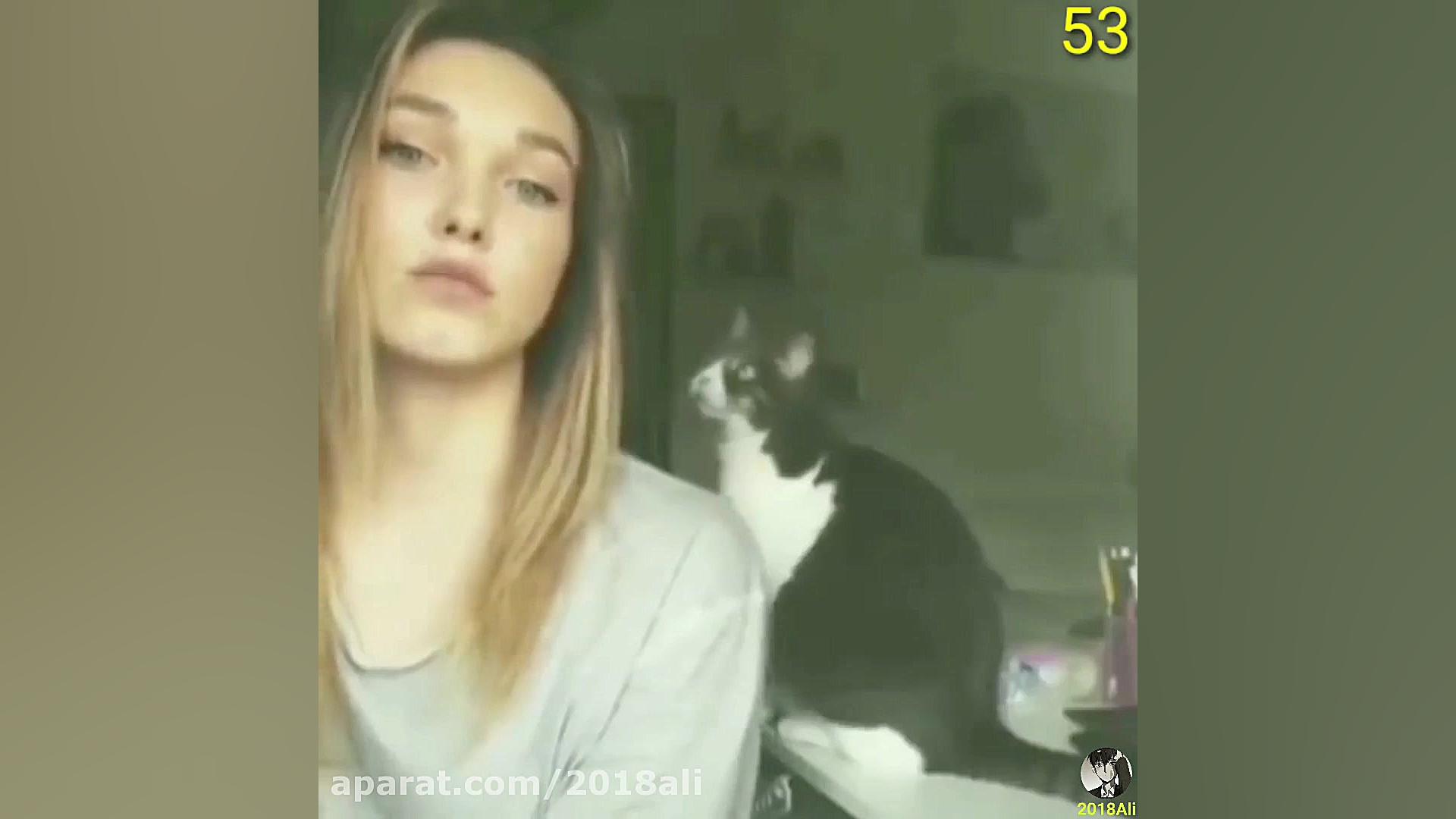 خنده دار ترین گربه های دنیا حت...