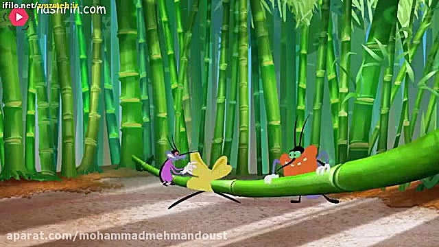 کارکون اوگی جدید ۲۰۲۱