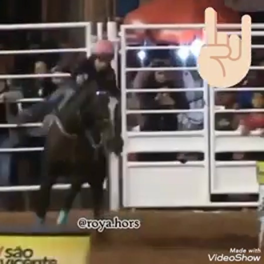 اسب سواری چرا واقعاً