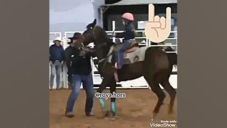 اسب سواری چرا واقعاً