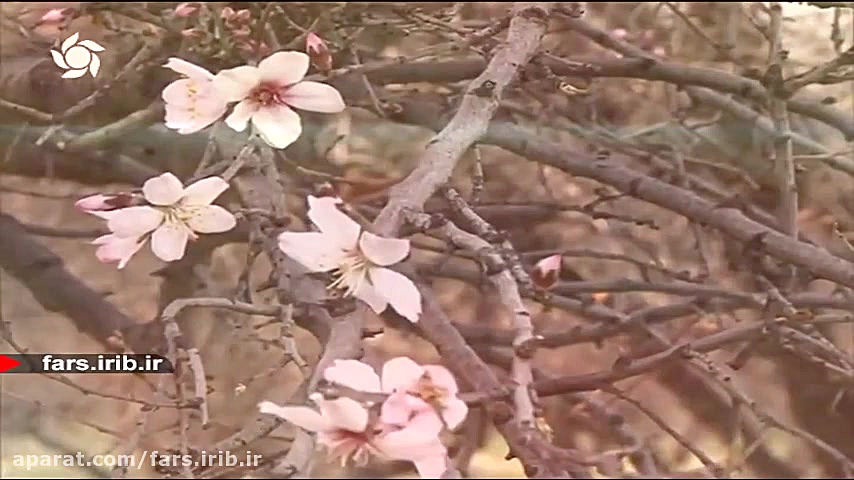 ترانه شاد &quot; بهار و عید &q...