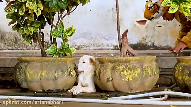 دوربین مخفی خنده دار ترسوندن س...