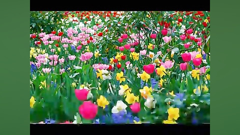 غزل 074 حاصل کارگه کون و مکان...