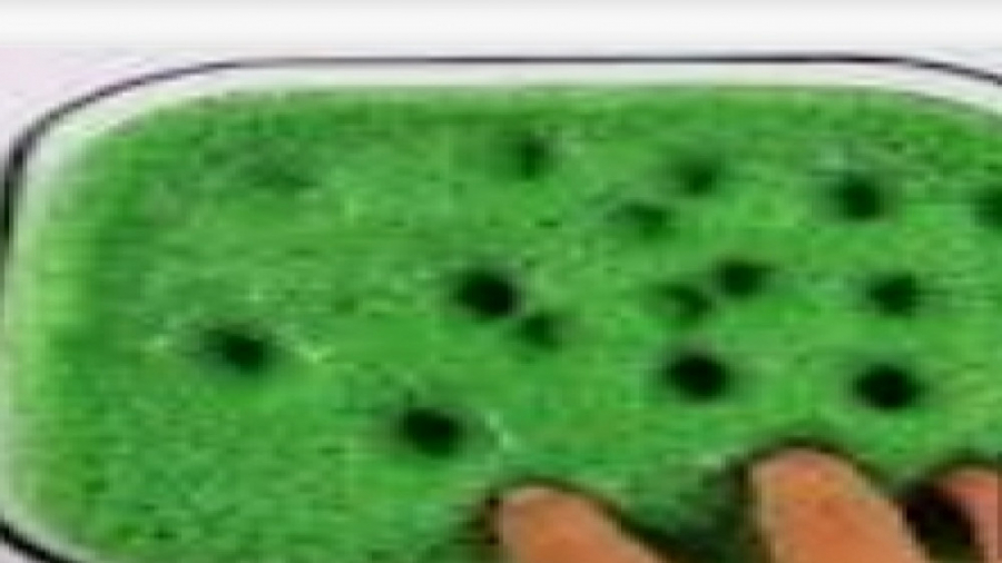 درست کردن اسلایم بدون چسب