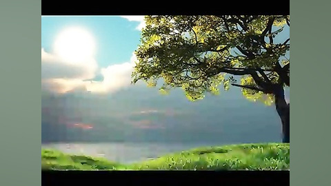 غزل 216 آن یار کز او خانه ما ج...