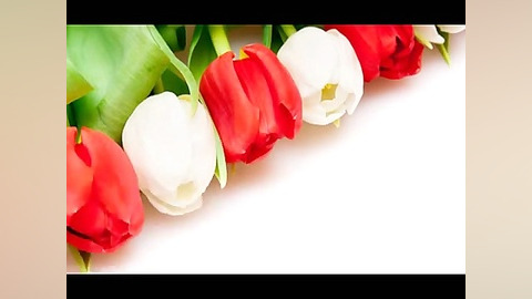 غزل 425 دامن کشان همی شد در شر...