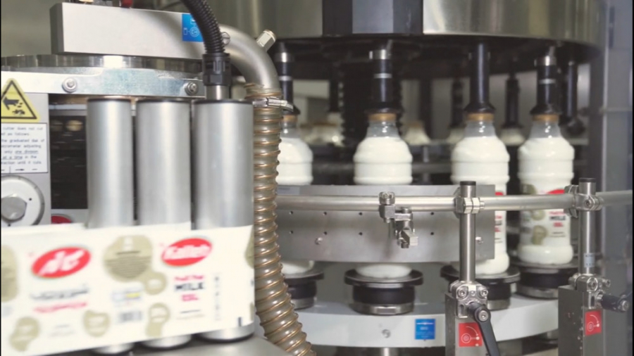 وقتی از شیر کاله حرف می زنیم ا...