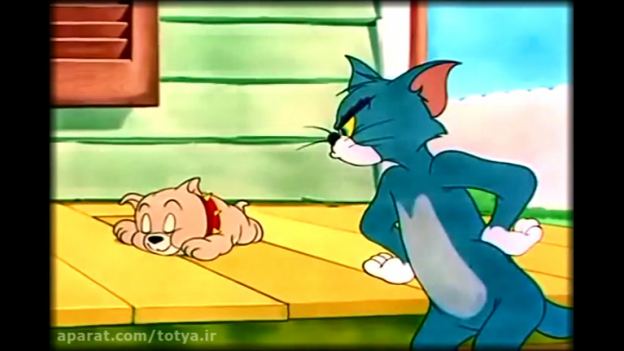 انیمیشن تام جری جدید | تام و ج...