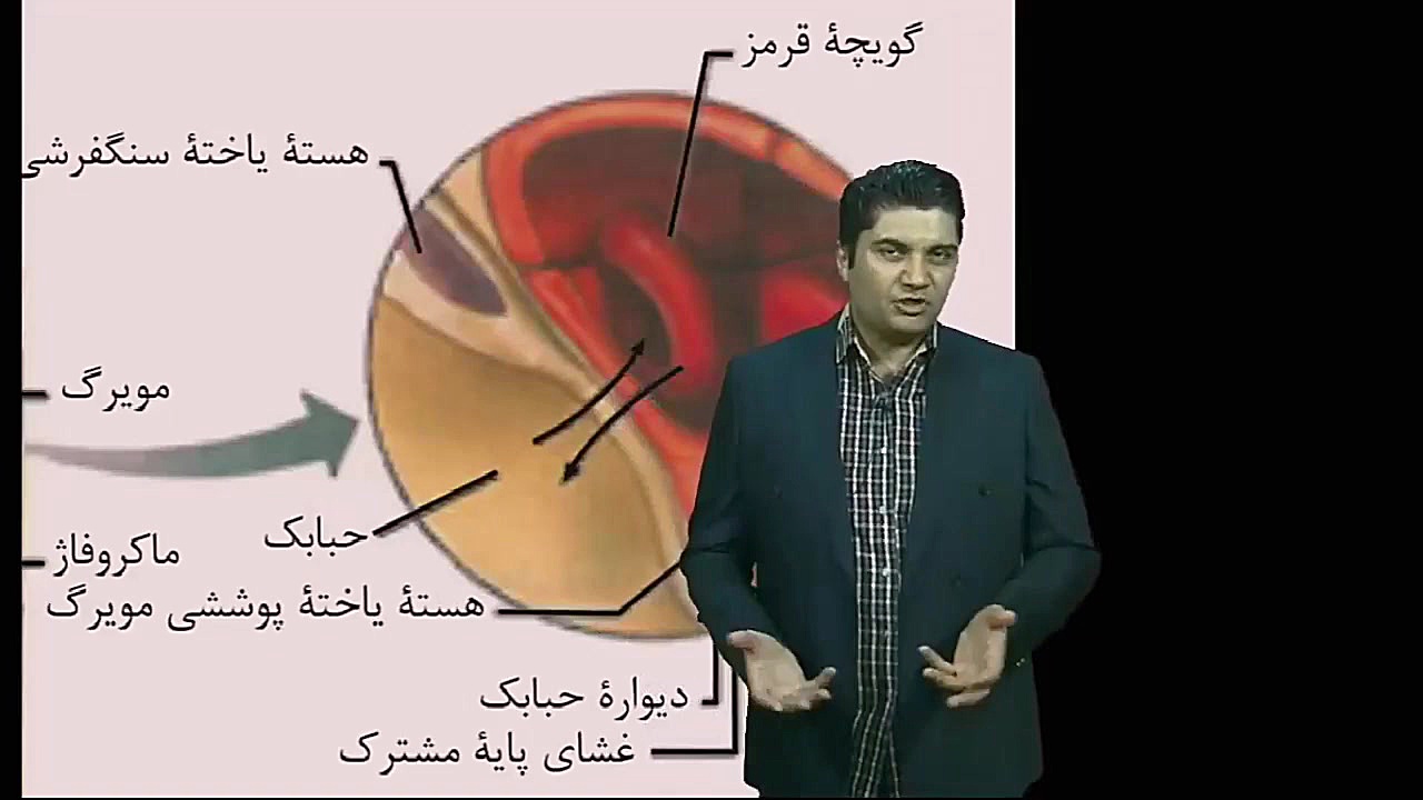 جلسه اول کلاس آنلاین نکته و تس...
