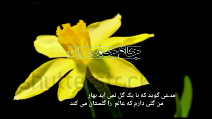 کلیپ کوتاه عاشقانه با آهنگ حجت...