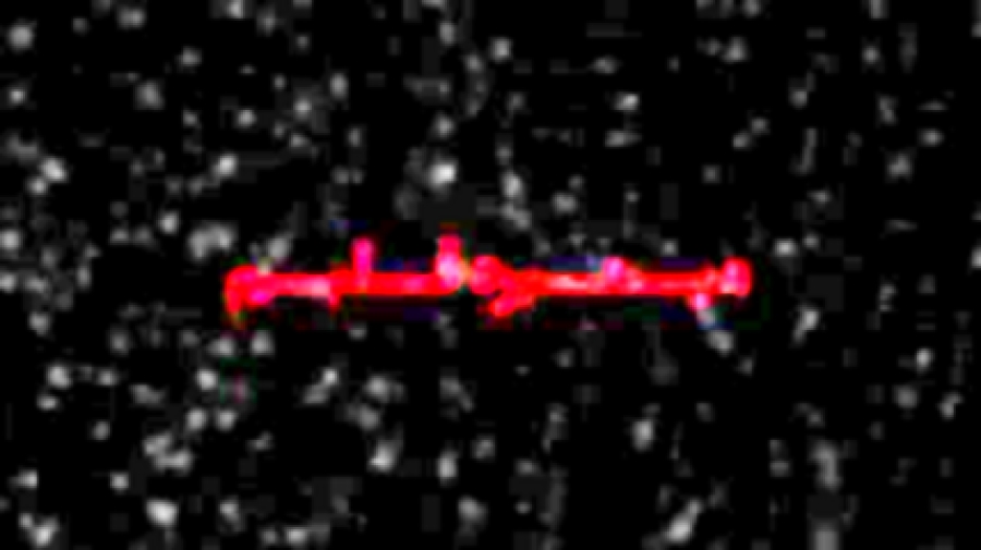 آهنگ زیبای چرا دروغ بود...؟ با...