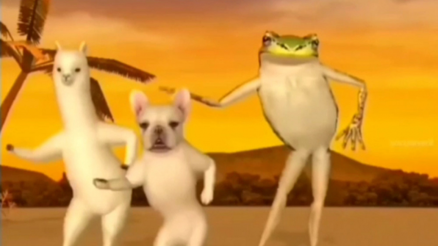 حال که گِدا گودول شدم می روی ....