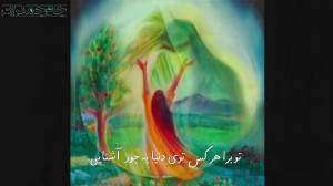 دیدن امام زمان عج ...