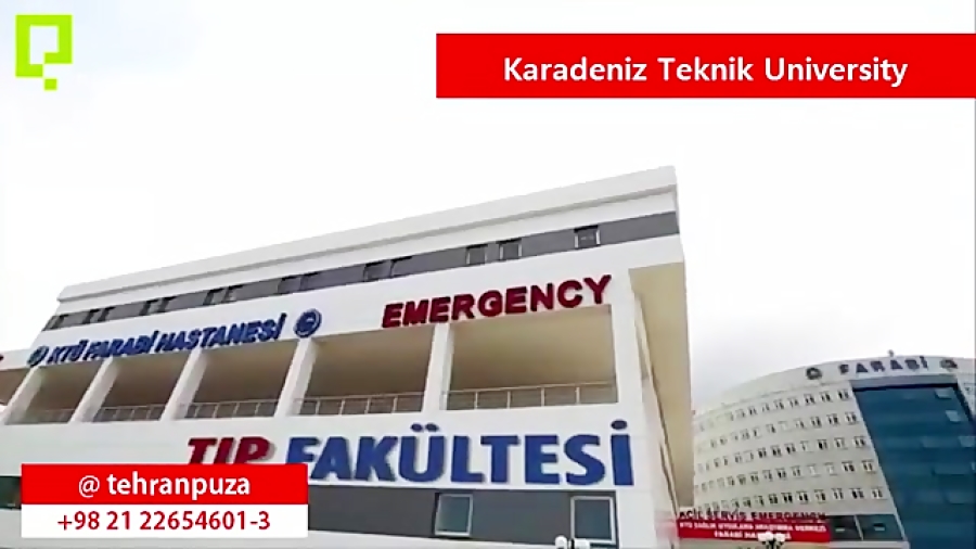 دانشگاه كارادنیز