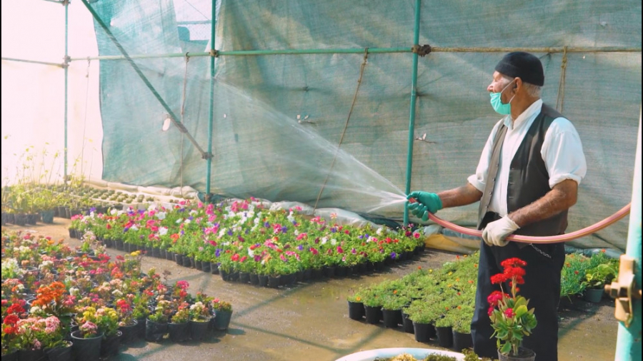 ماجرای گل های حرم مطهر امام رض...