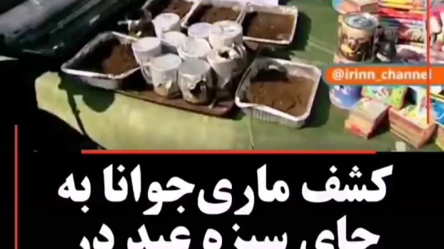 دسگیری گروه قمه زن.سارقان ماشی...