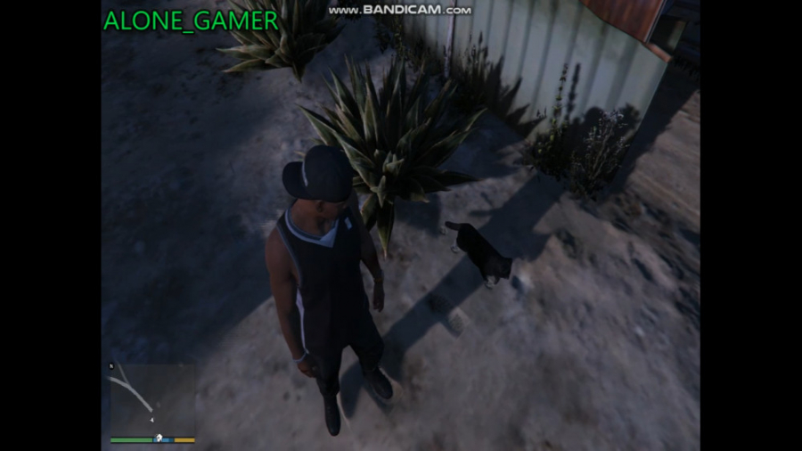 یه خونه پر از گربه مجستمه آدم...