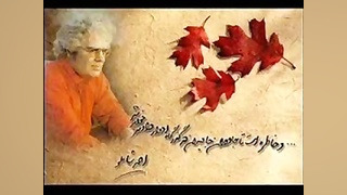 کاشفان فروتن شوکران ، احمد شام...