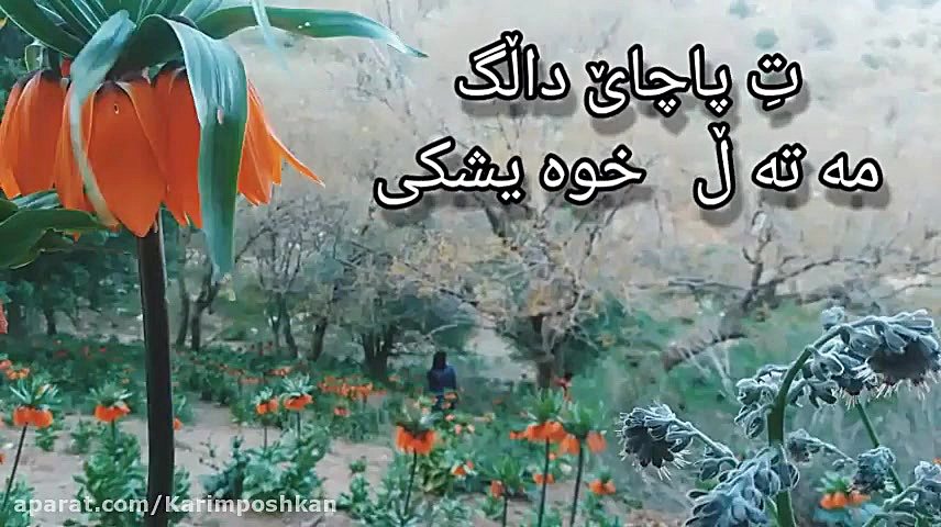 مهدی پوشکان(م.چرو)شعر و دکلمه...