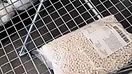 بهار و ستایش. رفتن به فروشگاه