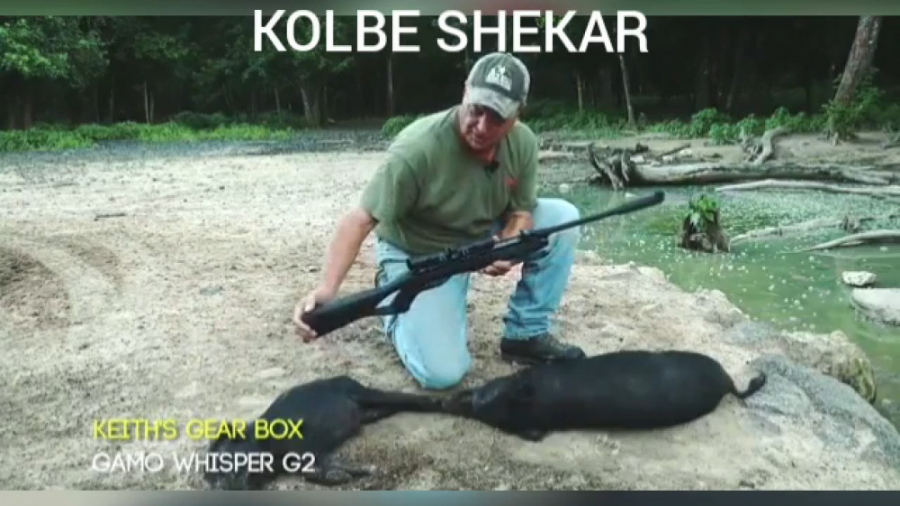 شکار گراز با تفنگ بادی......گا...