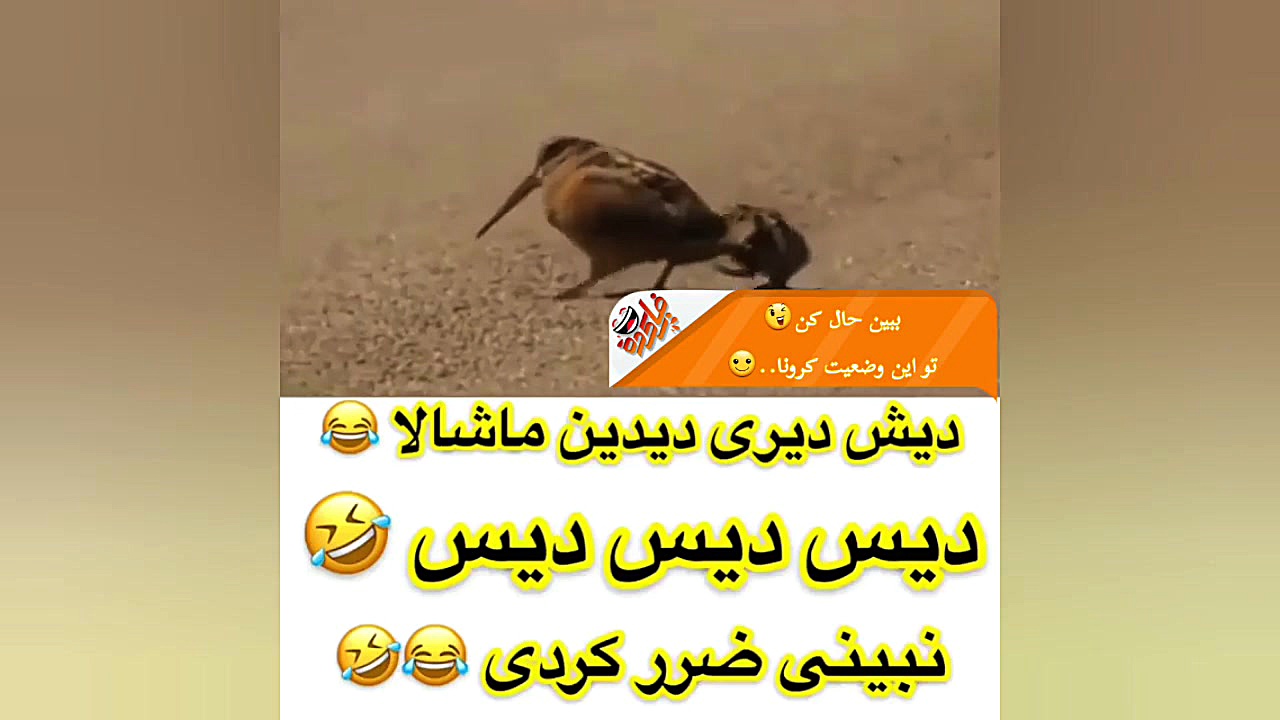دیس دیس دیس دیش دیری دیرین ماش...