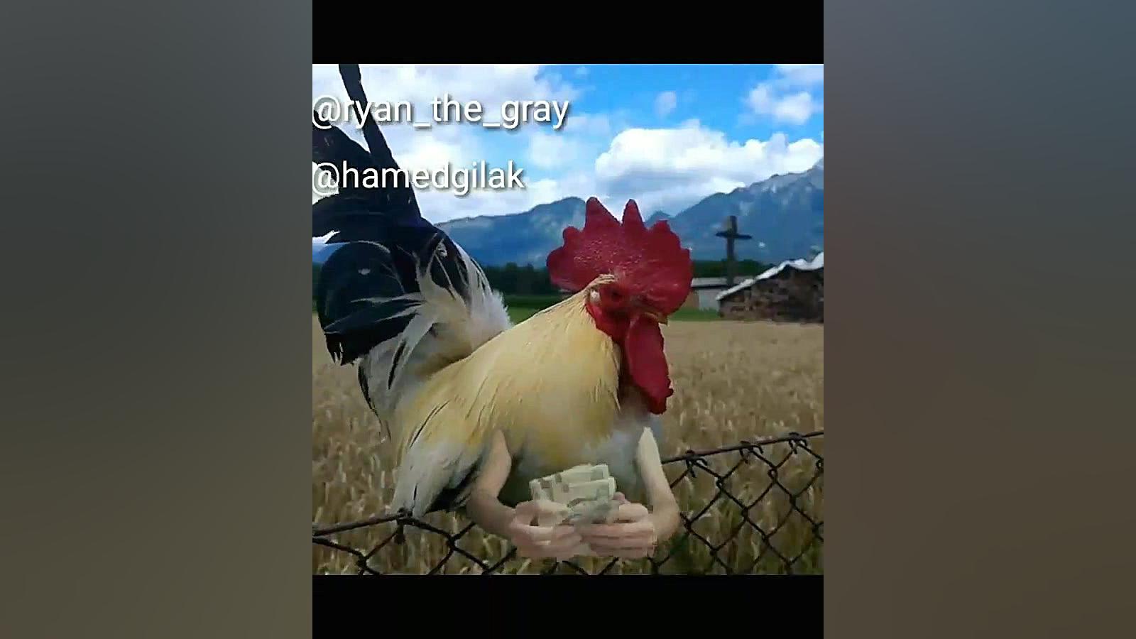 کلیپ خنده دار حامد گیلک