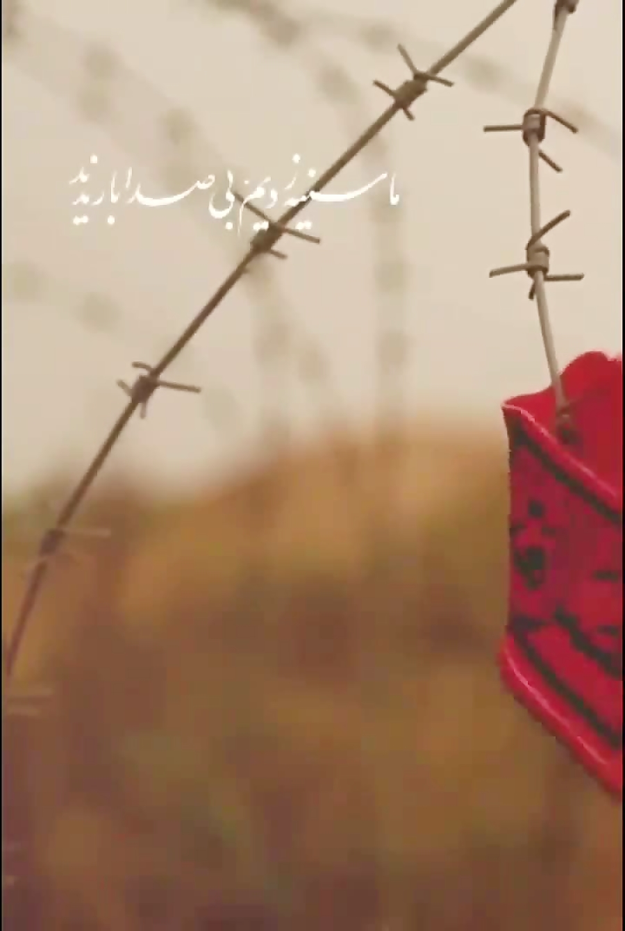 استوری مذهبی شهدا