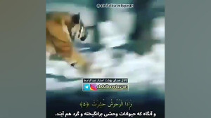 سوره تکویر قرآن تلاوت عبدالباس...