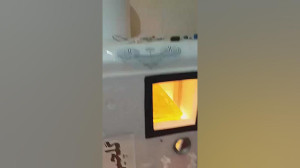 جوجه کشی غاز با دستگاه جوجه کش...