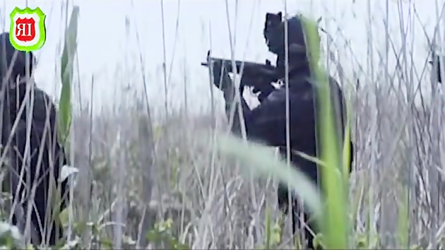 مستند کامل یگان ویژه (نوپو)