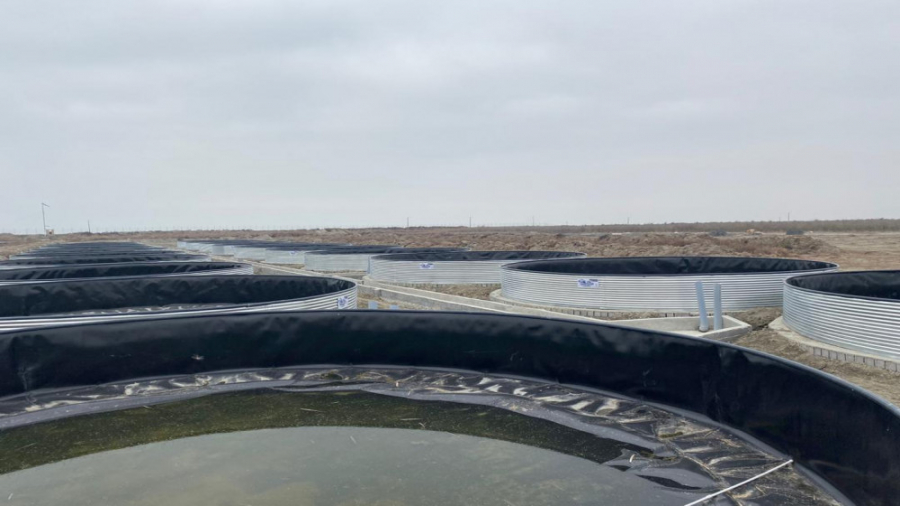 افزایش سرعت رشد آبزی