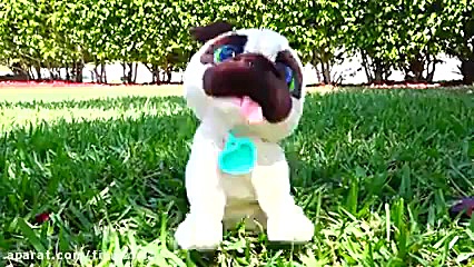 بازی با بلوکه های رنگی  برنامه...