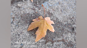 دعای روز چهاردهم