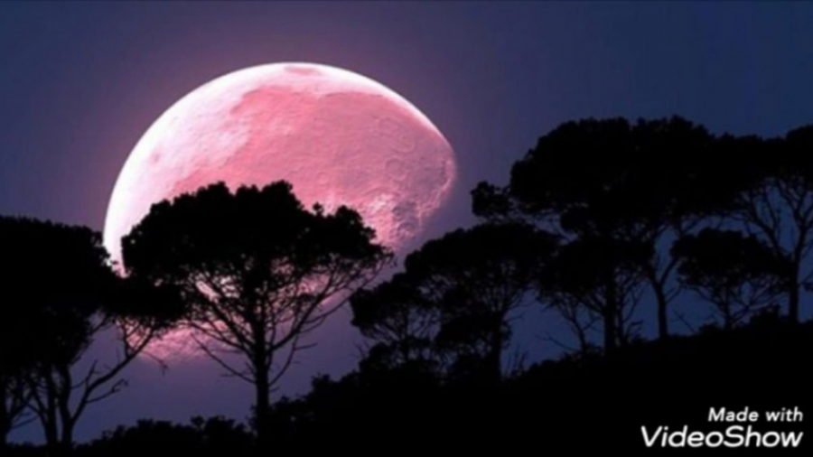 انرژی مثبت کلیپ انگیزشی و مفید...