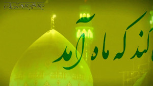 کلیپ عاشقانه امام زمان عج برای...