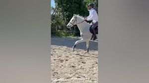 سوار کاری جان یامان بازیگر سری...