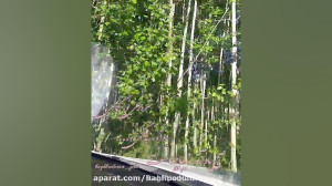 صبح بخیر انگیزشی، انرژی مثبت ب...