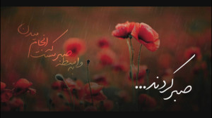 به خاطر اینه که خوب صبر کردند....